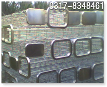 �E�A�γ��m���Ǽ�