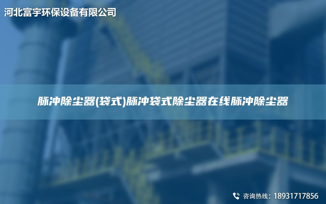 脈沖除塵器(袋式)脈沖袋式除塵器在線脈沖除塵器