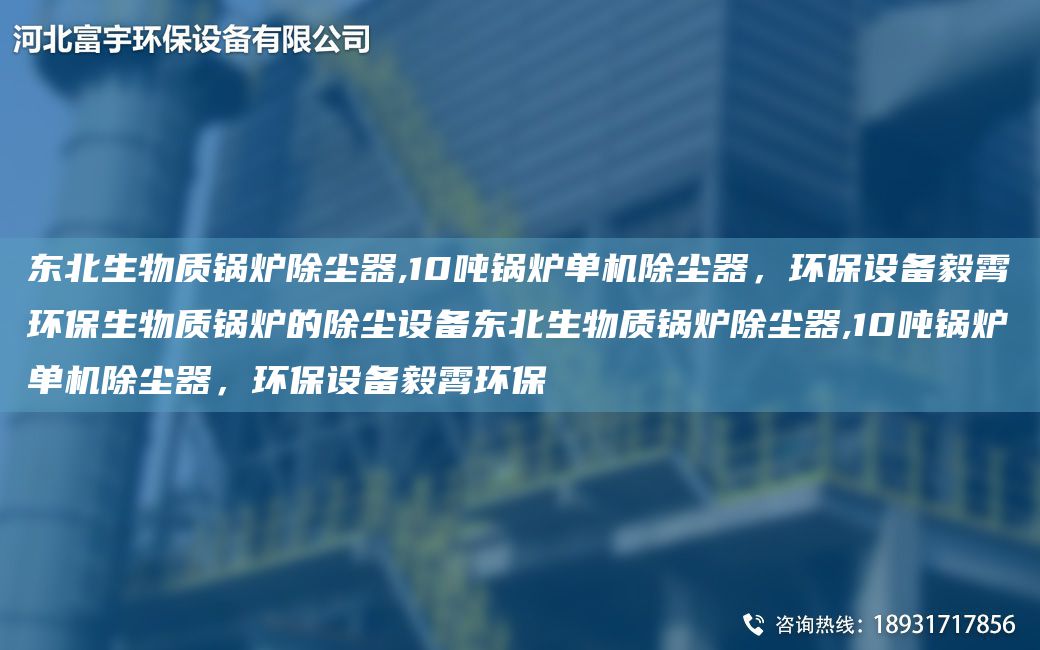 東北生物質(zhì)鍋爐除塵器,10噸鍋爐單機除塵器，環(huán)保設備毅霄環(huán)保生物質(zhì)鍋爐的除塵設備東北生物質(zhì)鍋爐除塵器,10噸鍋爐單機除塵器，環(huán)保設備毅霄環(huán)保