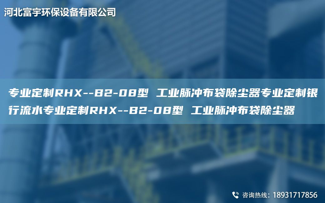 專業(yè)定制RHX--B2-08型 工業(yè)脈沖布袋除塵器專業(yè)定制銀行流水專業(yè)定制RHX--B2-08型 工業(yè)脈沖布袋除塵器