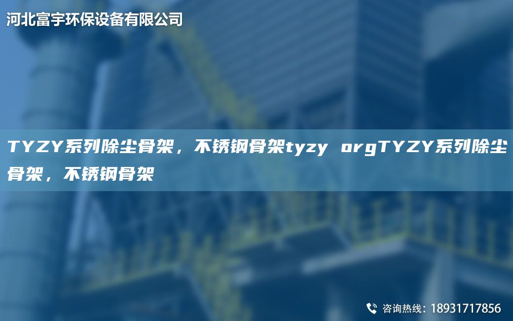 TYZY系列除塵骨架，不銹鋼骨架tyzy orgTYZY系列除塵骨架，不銹鋼骨架