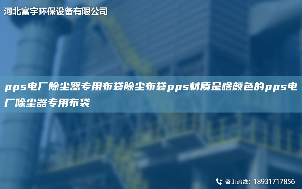 pps電廠除塵器專用布袋除塵布袋pps材質(zhì)是啥顏色的pps電廠除塵器專用布袋
