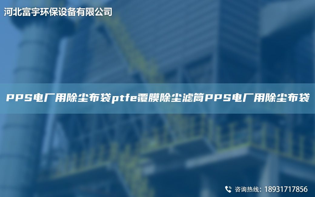 PPS電廠用除塵布袋ptfe覆膜除塵濾筒PPS電廠用除塵布袋
