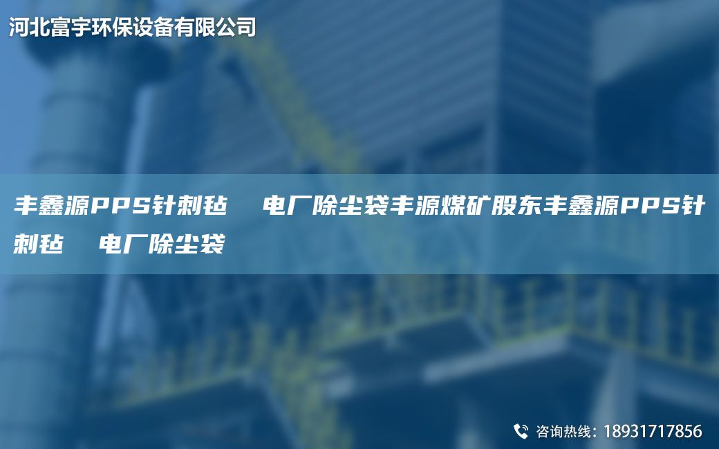 豐鑫源PPS針刺氈  電廠除塵袋豐源煤礦股東豐鑫源PPS針刺氈  電廠除塵袋