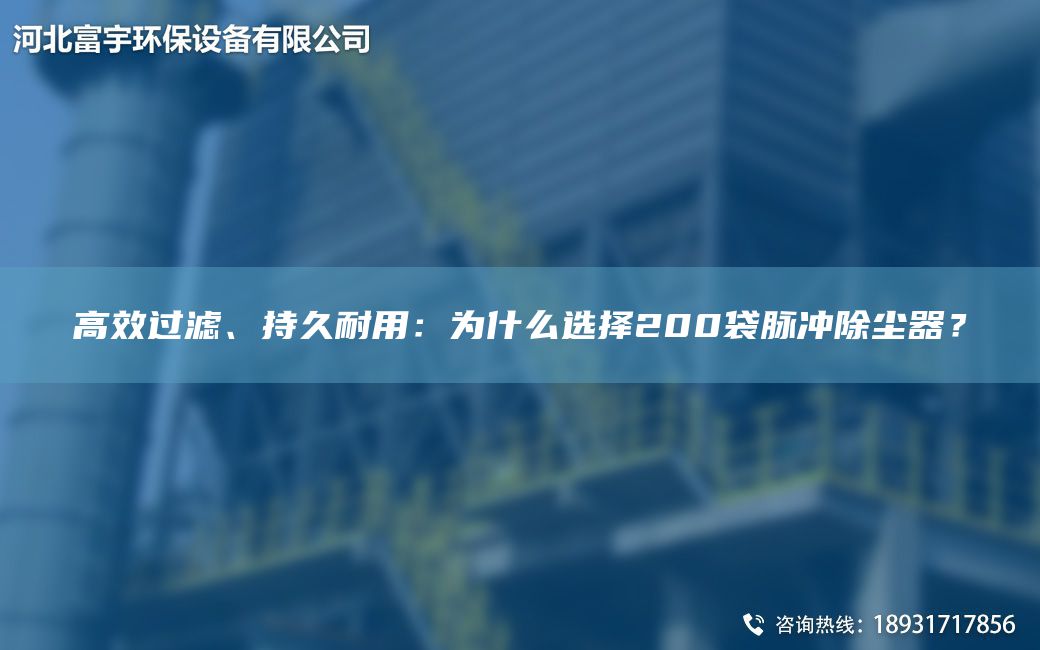 高效過濾、持久耐用：為什么選擇200袋脈沖除塵器？