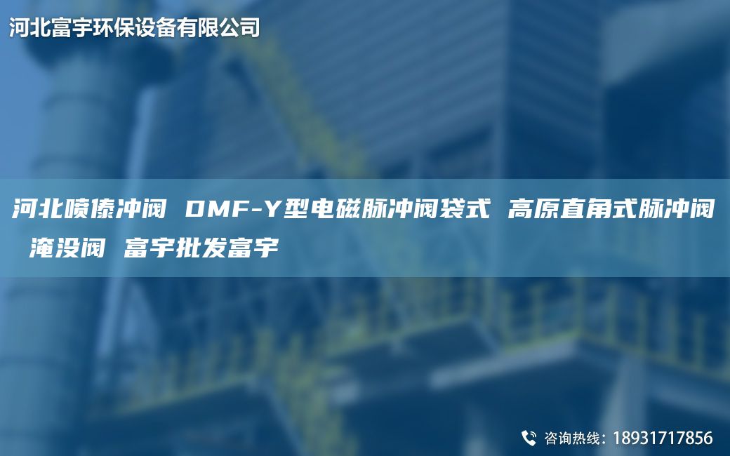 河北噴傣沖閥 DMF-Y型電磁脈沖閥袋式 高原直角式脈沖閥 淹沒閥 富宇批發(fā)富宇