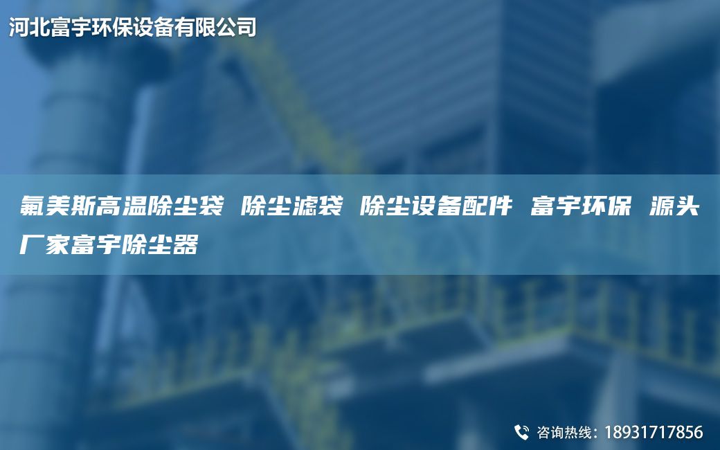 氟美斯高溫除塵袋 除塵濾袋 除塵設(shè)備配件 富宇環(huán)保 源頭廠家富宇除塵器