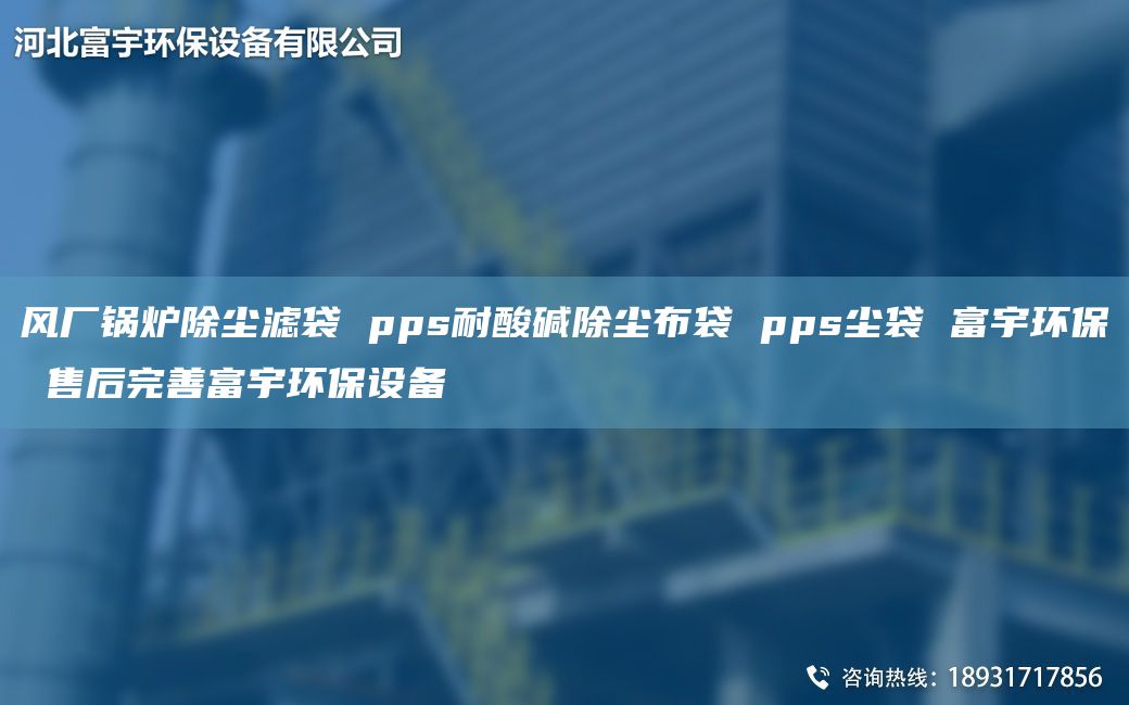 風(fēng)廠鍋爐除塵濾袋 pps耐酸堿除塵布袋 pps塵袋 富宇環(huán)保 售后完善富宇環(huán)保設(shè)備