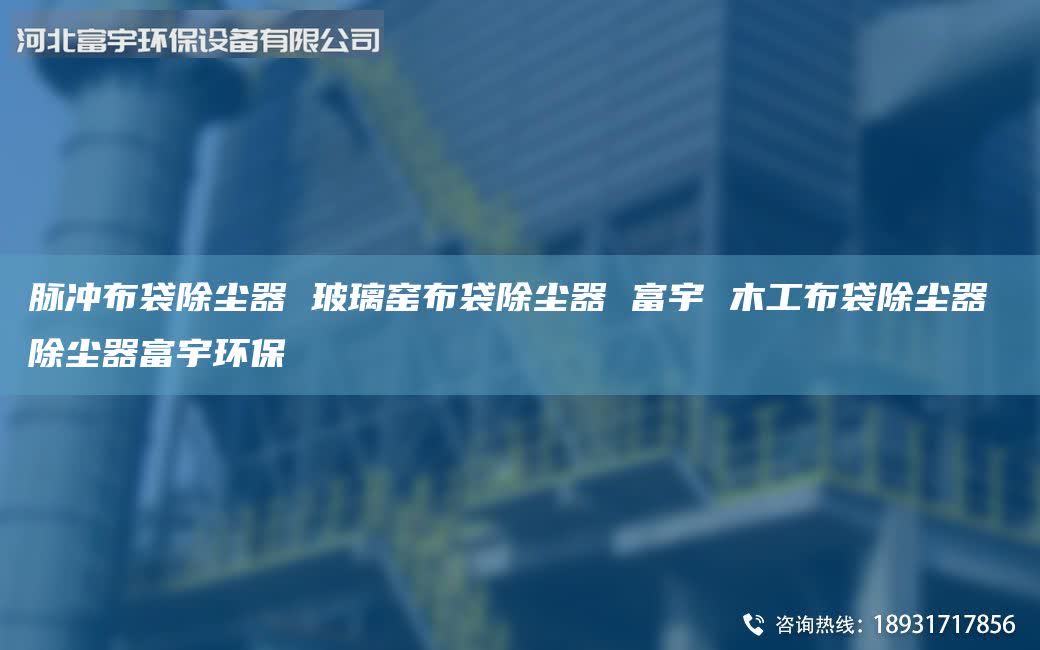脈沖布袋除塵器 玻璃窯布袋除塵器 富宇 木工布袋除塵器 除塵器富宇環(huán)保