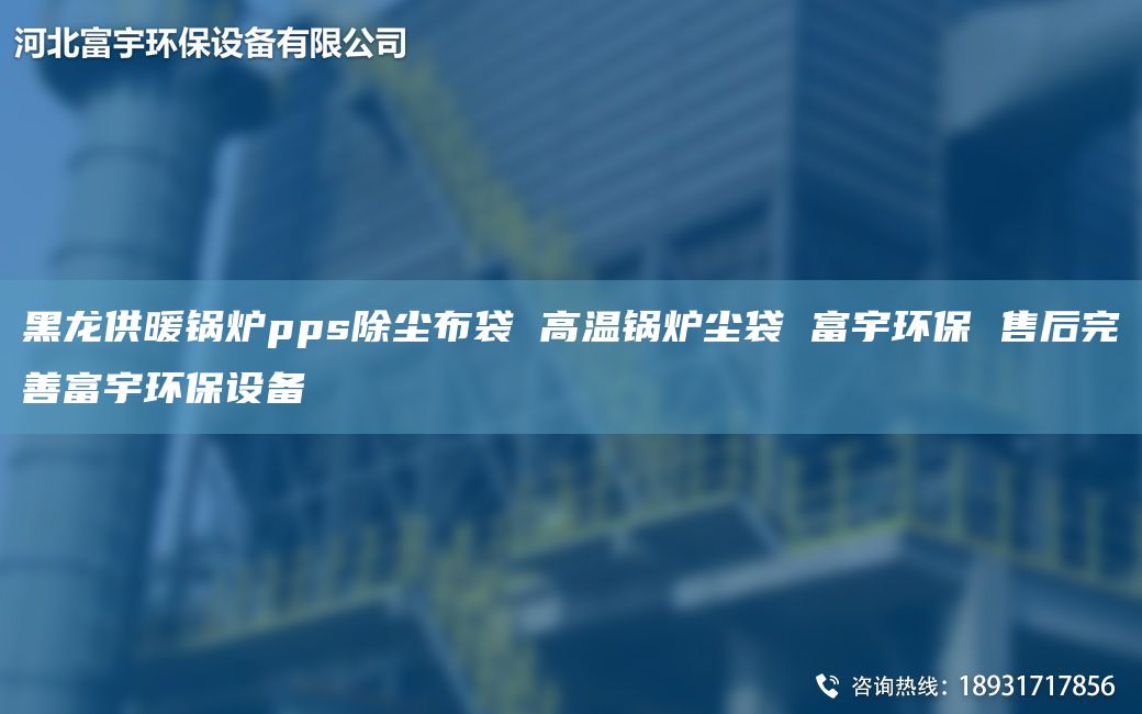 黑龍供暖鍋爐pps除塵布袋 高溫鍋爐塵袋 富宇環(huán)保 售后完善富宇環(huán)保設備