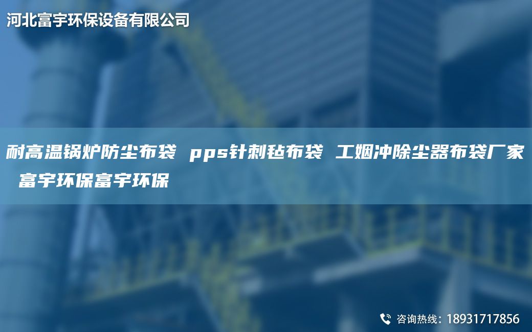 耐高溫鍋爐防塵布袋 pps針刺氈布袋 工姻沖除塵器布袋廠家 富宇環(huán)保富宇環(huán)保