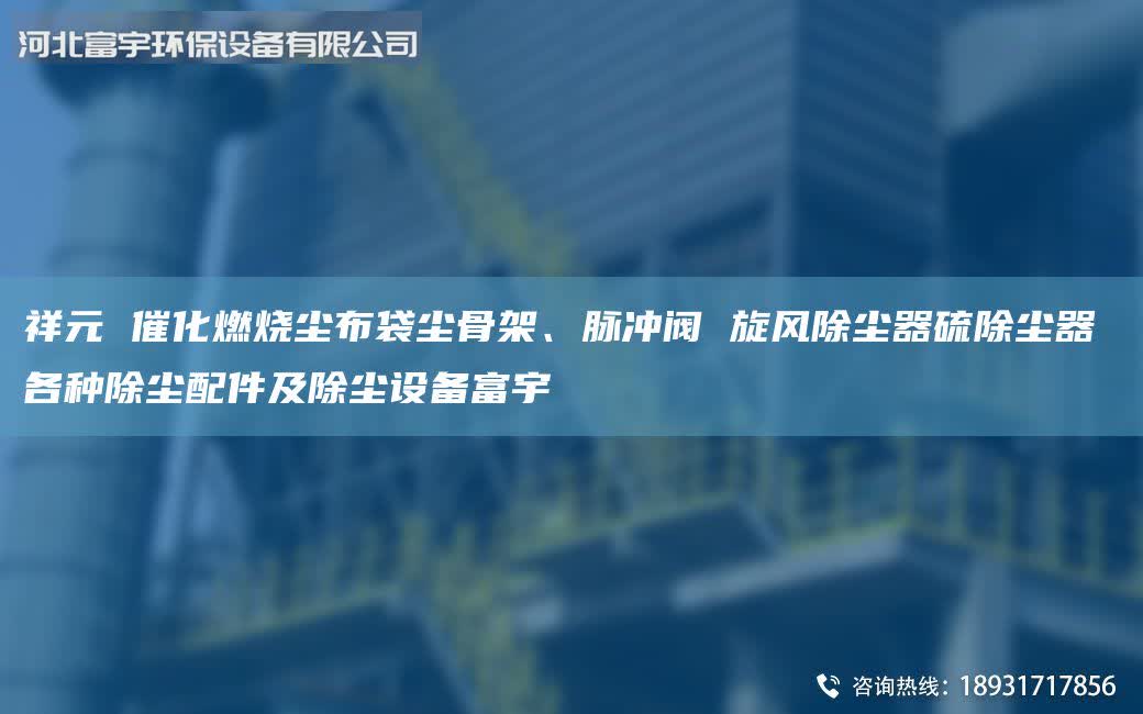 祥元 催化燃燒塵布袋塵骨架、脈沖閥 旋風(fēng)除塵器硫除塵器 各種除塵配件及除塵設(shè)備富宇