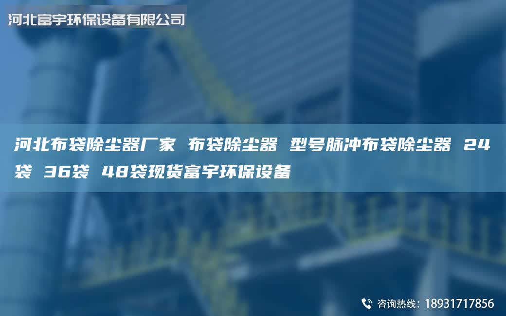 河北布袋除塵器廠家 布袋除塵器 型號脈沖布袋除塵器 24袋 36袋 48袋現(xiàn)貨富宇環(huán)保設(shè)備