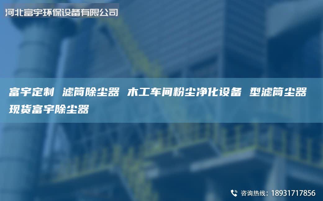 富宇定制 濾筒除塵器 木工車間粉塵凈化設(shè)備 型濾筒塵器 現(xiàn)貨富宇除塵器