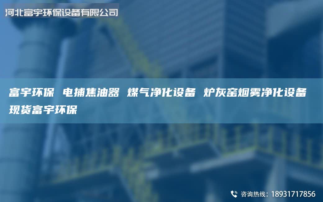 富宇環(huán)保 電捕焦油器 煤氣凈化設(shè)備 爐灰窯煙霧凈化設(shè)備 現(xiàn)貨富宇環(huán)保