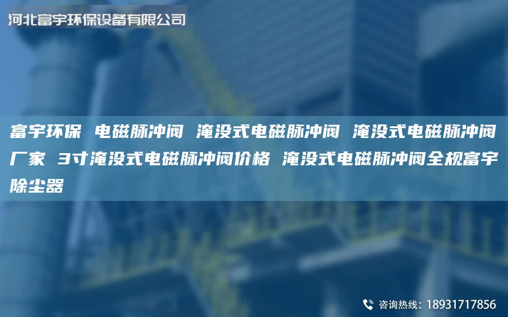 富宇環(huán)保 電磁脈沖閥 淹沒式電磁脈沖閥 淹沒式電磁脈沖閥廠家 3寸淹沒式電磁脈沖閥價格 淹沒式電磁脈沖閥全規(guī)富宇除塵器