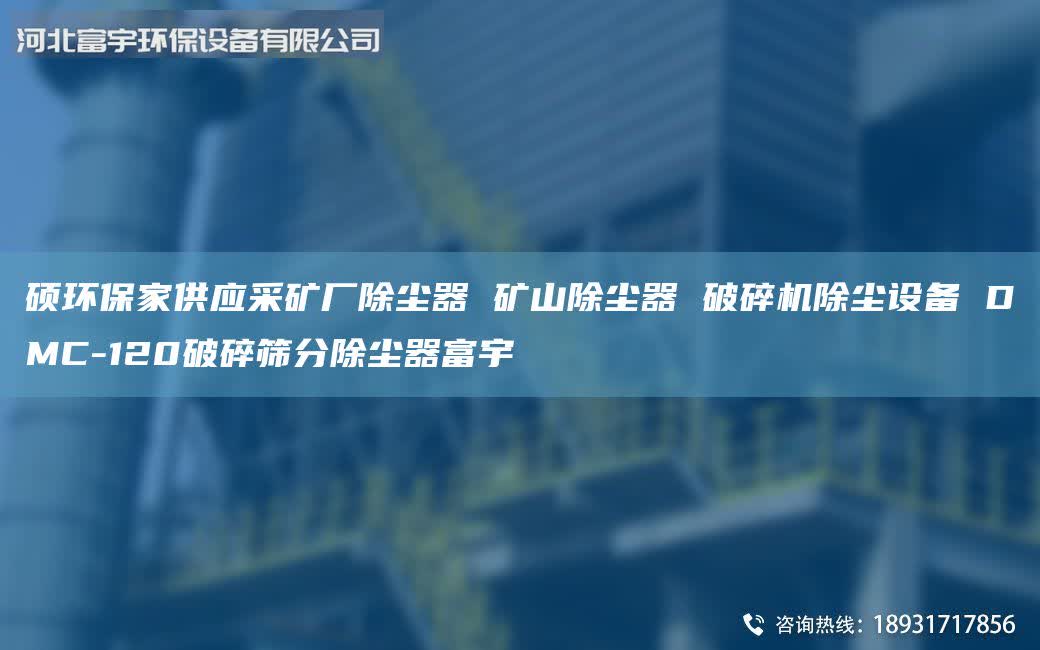 碩環(huán)保家供應(yīng)采礦廠除塵器 礦山除塵器 破碎機(jī)除塵設(shè)備 DMC-120破碎篩分除塵器富宇