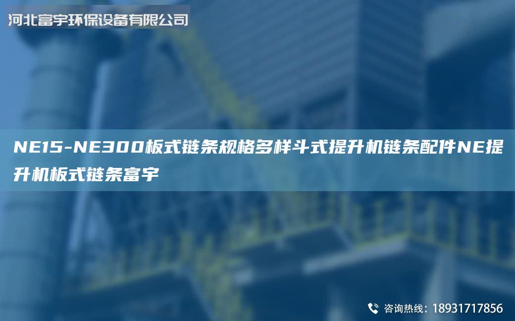 NE15-NE300板式鏈條規(guī)格多樣斗式提升機鏈條配件NE提升機板式鏈條富宇