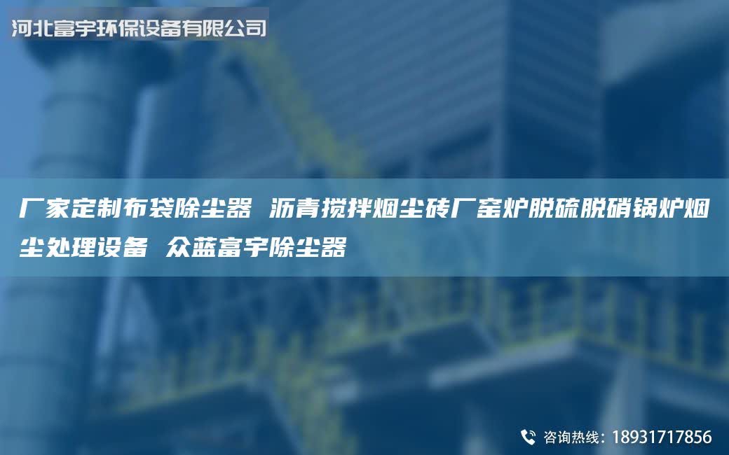廠家定制布袋除塵器 瀝青攪拌煙塵磚廠窯爐脫硫脫硝鍋爐煙塵處理設(shè)備 眾藍(lán)富宇除塵器