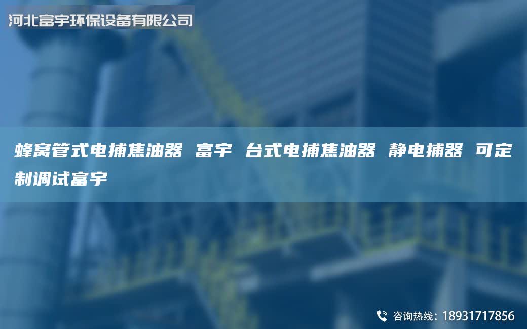 蜂窩管式電捕焦油器 富宇 臺式電捕焦油器 靜電捕器 可定制調(diào)試富宇