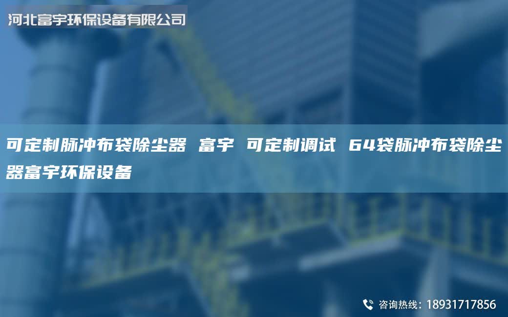 可定制脈沖布袋除塵器 富宇 可定制調(diào)試 64袋脈沖布袋除塵器富宇環(huán)保設(shè)備