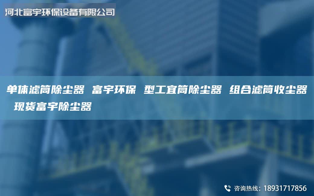 單體濾筒除塵器 富宇環(huán)保 型工宜筒除塵器 組合濾筒收塵器 現(xiàn)貨富宇除塵器