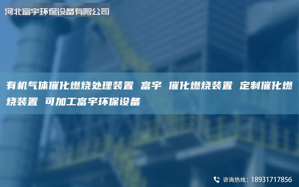 有機氣體催化燃燒處理裝置 富宇 催化燃燒裝置 定制催化燃燒裝置 可加工富宇環(huán)保設(shè)備