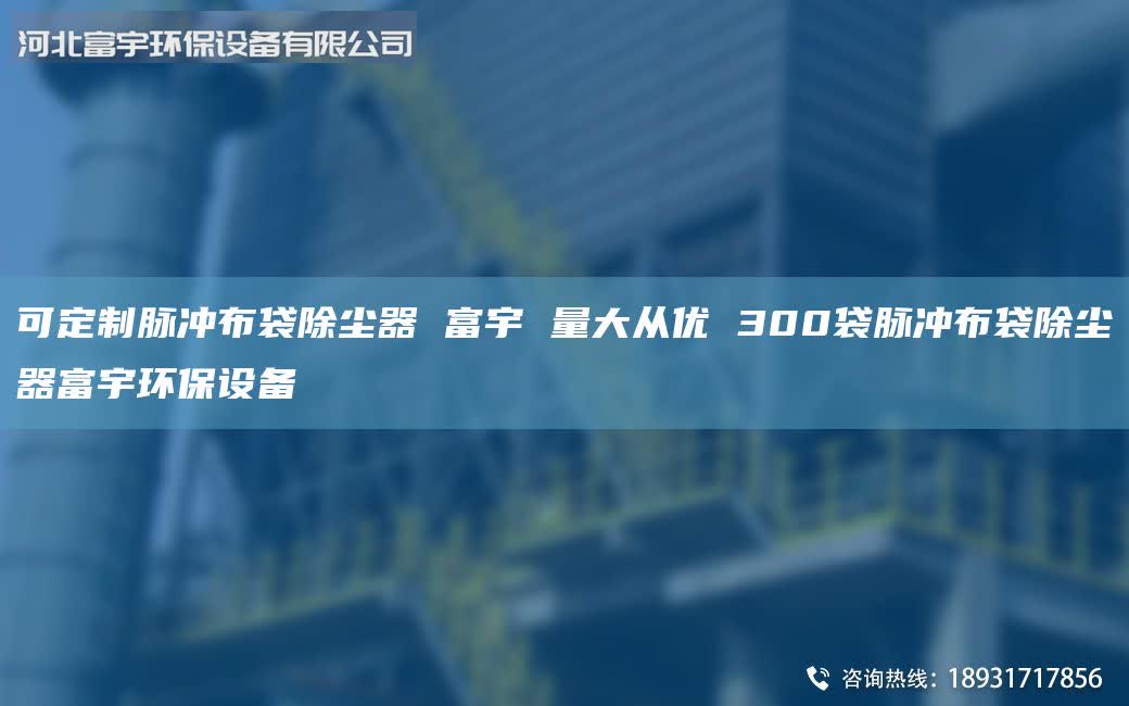 可定制脈沖布袋除塵器 富宇 量大從優(yōu) 300袋脈沖布袋除塵器富宇環(huán)保設(shè)備