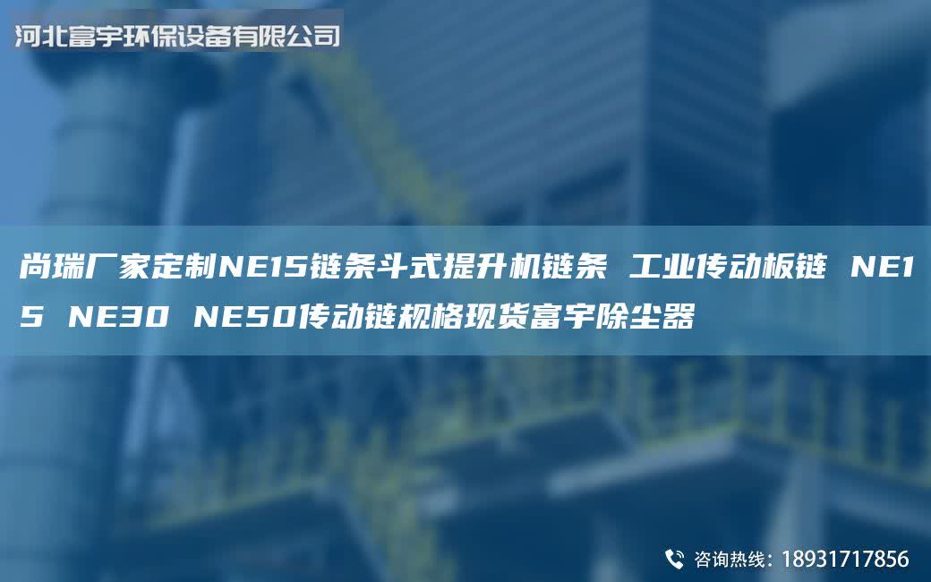 尚瑞廠家定制NE15鏈條斗式提升機鏈條 工業(yè)傳動板鏈 NE15 NE30 NE50傳動鏈規(guī)格現(xiàn)貨富宇除塵器