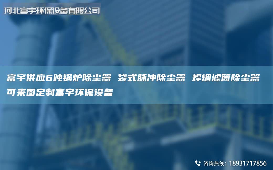 富宇供應(yīng)6噸鍋爐除塵器 袋式脈沖除塵器 焊煙濾筒除塵器 可來圖定制富宇環(huán)保設(shè)備