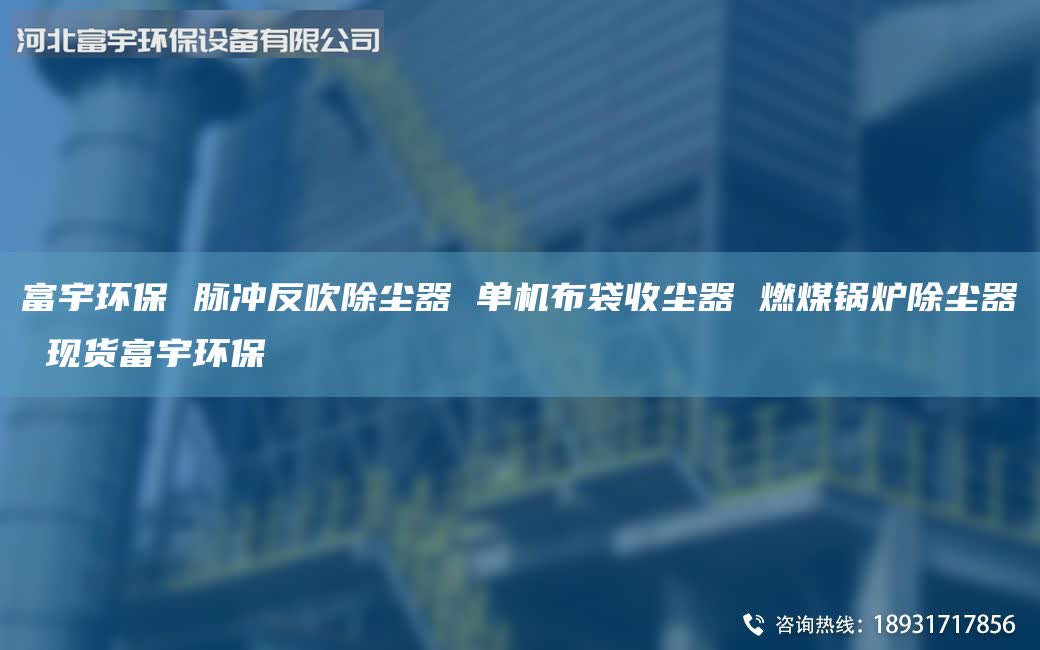 富宇環(huán)保 脈沖反吹除塵器 單機(jī)布袋收塵器 燃煤鍋爐除塵器 現(xiàn)貨富宇環(huán)保