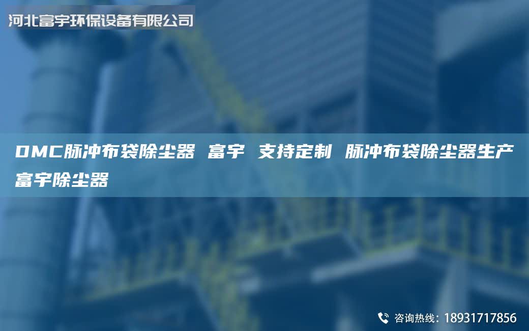 DMC脈沖布袋除塵器 富宇 支持定制 脈沖布袋除塵器生產(chǎn)富宇除塵器