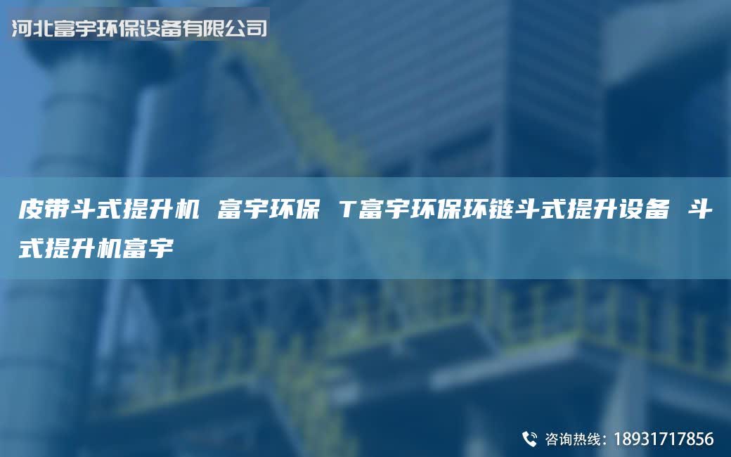 皮帶斗式提升機(jī) 富宇環(huán)保 T富宇環(huán)保環(huán)鏈斗式提升設(shè)備 斗式提升機(jī)富宇