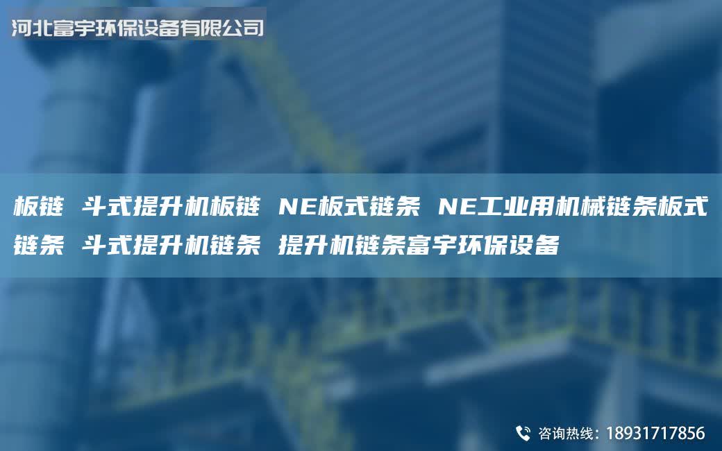 板鏈 斗式提升機板鏈 NE板式鏈條 NE工業(yè)用機械鏈條板式鏈條 斗式提升機鏈條 提升機鏈條富宇環(huán)保設(shè)備