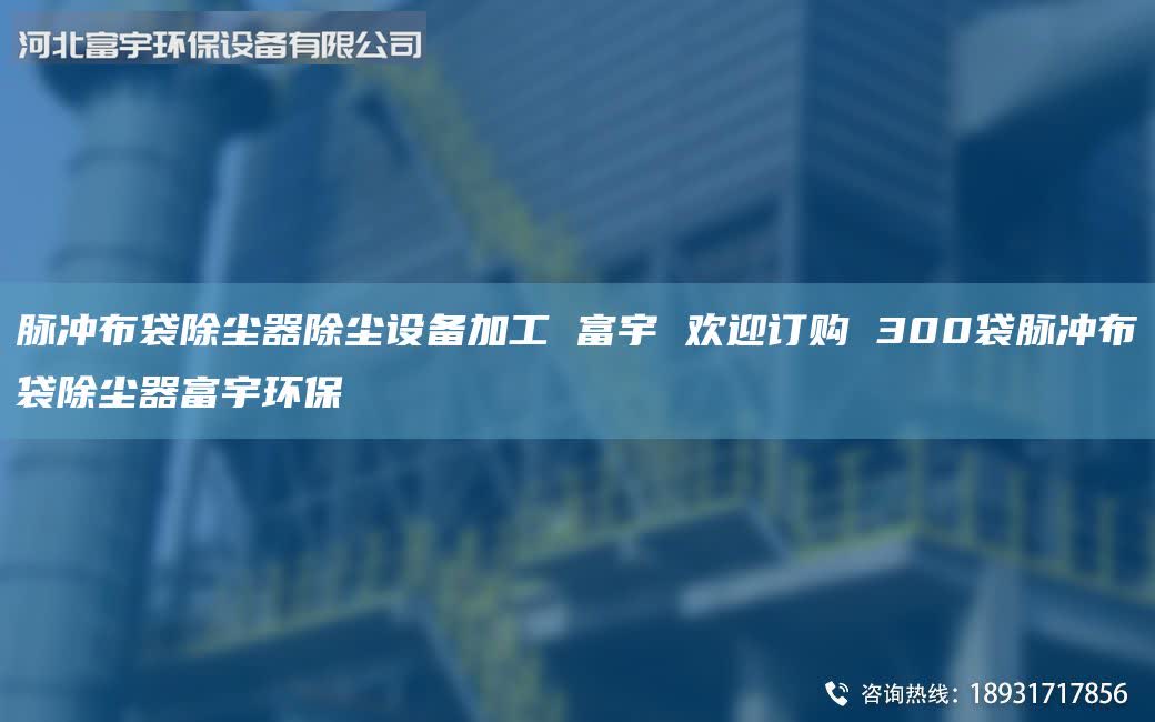 脈沖布袋除塵器除塵設(shè)備加工 富宇 歡迎訂購(gòu) 300袋脈沖布袋除塵器富宇環(huán)保