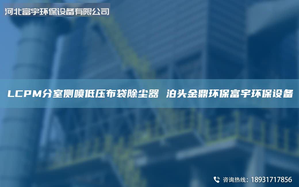 LCPM分室側(cè)噴低壓布袋除塵器 泊頭金鼎環(huán)保富宇環(huán)保設(shè)備