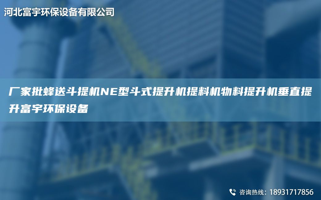 廠家批蜂送斗提機NE型斗式提升機提料機物料提升機垂直提升富宇環(huán)保設(shè)備