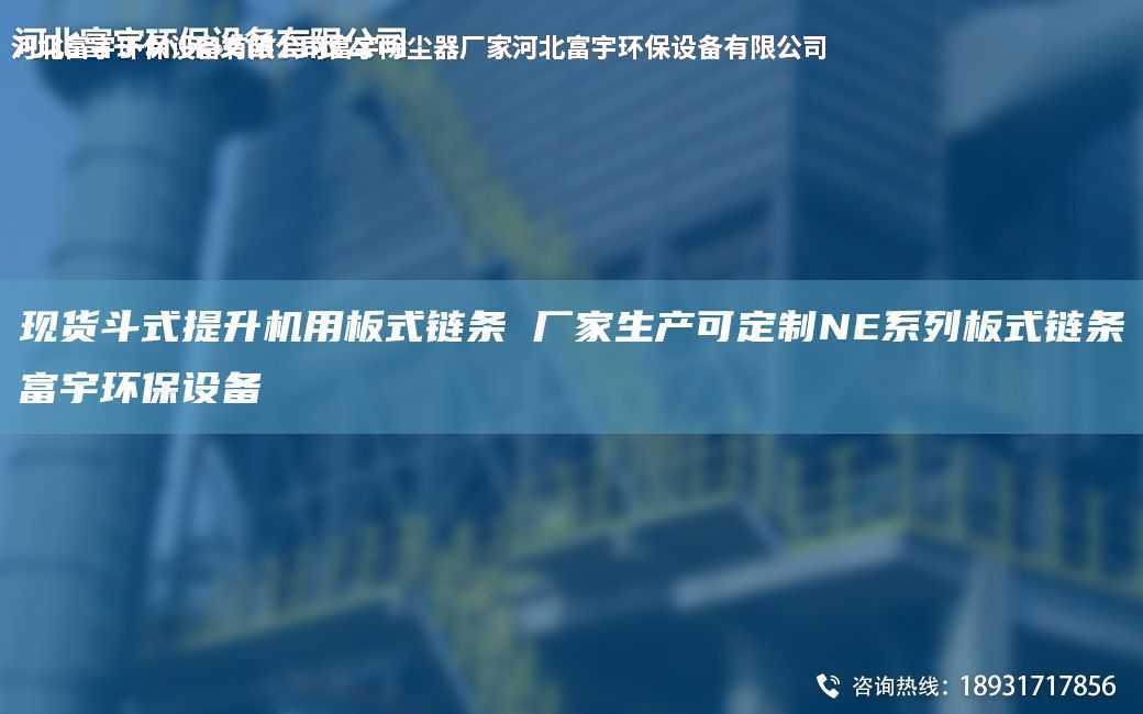 現貨斗式提升機用板式鏈條 廠家生產可定制NE系列板式鏈條富宇環(huán)保設備
