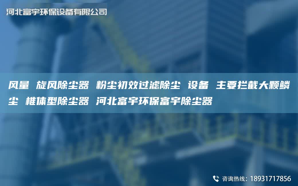風(fēng)量 旋風(fēng)除塵器 粉塵初效過濾除塵 設(shè)備 主要攔截大顆鱗塵 椎體型除塵器 河北富宇環(huán)保富宇除塵器