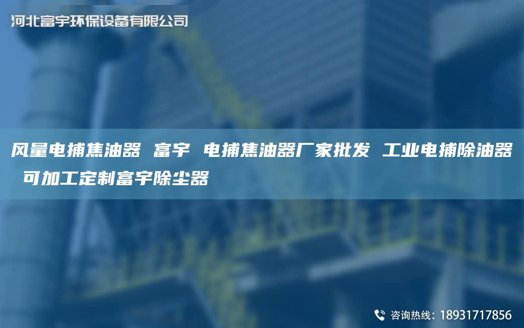 風(fēng)量電捕焦油器 富宇 電捕焦油器廠家批發(fā) 工業(yè)電捕除油器 可加工定制富宇除塵器